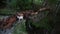 Herd of goats crossing a river with a small waterfall.Time Lapse