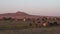 Herd of Goats Grazing the Mongolian Grassland.