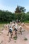 Herd of goats grazing near the ancient stupas and temples in Bagan