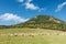 Herd of grazing sheeps under limestone hill