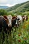 A herd of a group of cows standing in the grass, AI