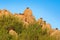 Herd group of hyrax on the stone hill. Rock Hyrax in rock habitat, stone in rocky mountain. Wildlife scene from nature. Many