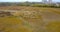 Herd of a group of sheep in the middle of the green field