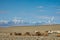 Herd of herbivorous animals in prairie