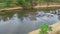 Herd of hippos in mara river at africa