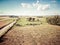 Herd of Holstein Friesian cows grazing on green pasture