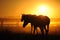 A herd of horses at dawn