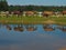 Herd of horses going to drink, Tver region, Russia