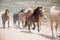Herd of horses running along dusty road