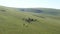A herd of horses runs along the mountainside, a beautiful video from a height