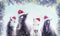 Herd of horses with Santa hat on winter snow and Christmas tree background. Banner