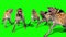 Herd of Hyenas Animals Attacks Front Green Screen 3D Rendering Animation