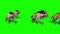 Herd of Hyenas Animals Walks Green Screen 3D Rendering Animation