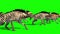 Herd of Hyenas Animals Walks Side Green Screen 3D Rendering Animation