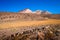 Herd of llamas grazing in bolivian mountains