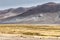 A herd of llamas grazing in the high alpine areas of Bolivia plateau, near Uyuni salt flat