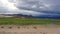 Herd of Llamas running on altiplano in Bolivia