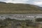 A herd of lying guanacos in Patagonia, Chile