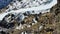 Herd of mountain goats running down the southern slope of Elbrus. Caucasus