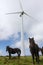 Herd of mountain ponies called `asturcones` with wind turbines in the background looking at camera.