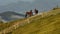 Herd of Mustang horses gallop through sagebrush, meadows, and trees in the foothills of the mountain range