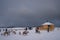Herd of reindeers in winter Sami camp