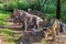 Herd of robotic hasmosaurs statue in the forest of Belgorod dinopark. Herbivorous dinosaur