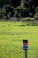 Herd of roosevelt elk cows with no trespass sign