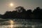 Herd of sambar Rusa unicolor and birds in flight at sunset.