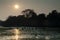 Herd of sambar Rusa unicolor and birds in flight at sunset.