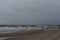 A herd of seagulls on the sand beach of Baltic Sea in north of Poland in winter