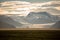 A herd of sheep in a field and Vatnajokull glacier in background ,Iceland Summer.