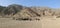 A herd of sheep and goats in the desert of sharm el sheikh, Egypt. The animals are eating trash out of plastic