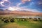 A herd of sheep and goats grazing near the lake at the foot of t