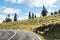 A herd of sheep grazes near the road passing near the slope at the foot of the Carpathian Mountains in Romania