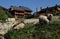 A herd of sheep grazes on the slopes against the backdrop of beautiful wooden houses