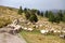 Herd of sheep with herdsman, farm animal on mountains