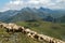 Herd of sheep in the mountains