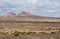 Herd of sheep near Montana Blanca, Lanzarote