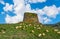 Herd of sheep by a nuraghe in Sardinia