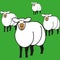 Herd of sheep on a pasture. Vector illustration