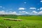 Herd of sheep on tuscany field