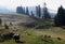 Herd of sheeps ina the morning in Bihor carst mountains in Apuseni in Romania