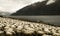 Herd Of Sheeps In The Scenic View Of The Lake And Mountain