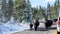 A herd of snow covered bisons with a calf slowly walk on the highway blocking the vehicle traffic. Beautiful scenic winter day in