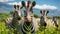 A herd of striped zebras graze in the African savannah generated by AI