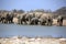 A herd of thirsty elephants at the klein Namutoni water hole