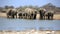 A herd of thirsty elephants at the klein Namutoni water hole