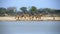 A herd of thirsty Kudus at the klein Namutoni water hole