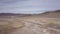 herd of Vicunas running over the plains of the Altiplano